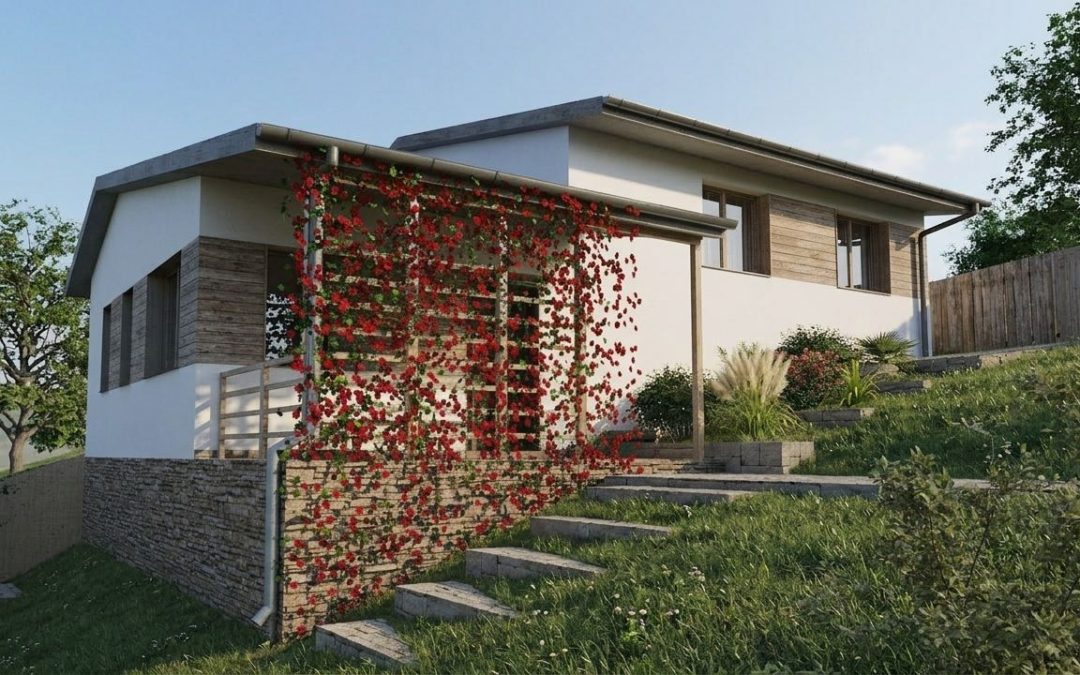 Country house in Argeș